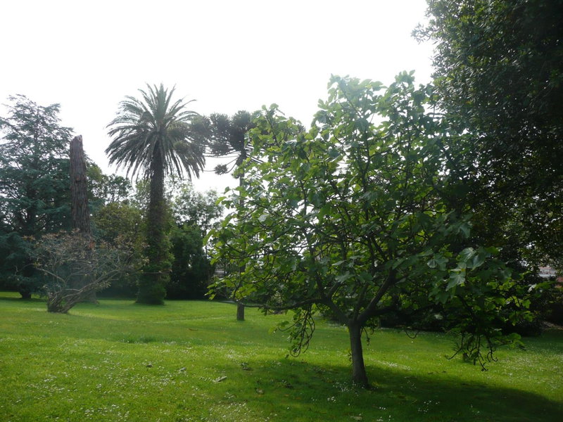 Las Carolinas Garden, Santander, Spain