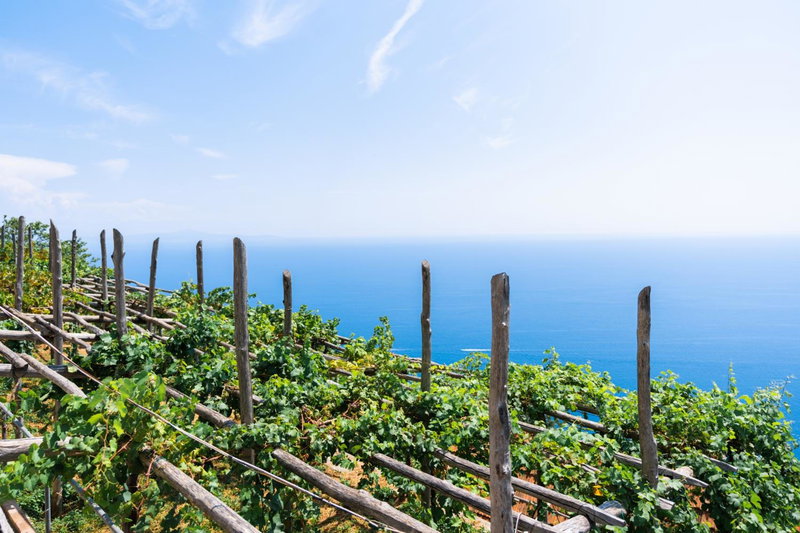 La Vigna di Bacco, Furore, Italy