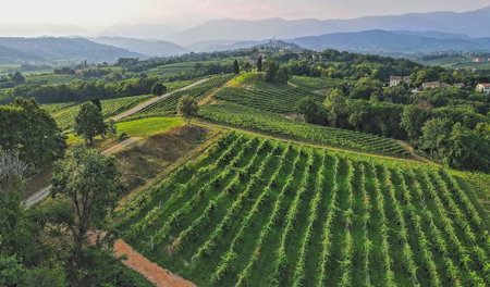 Tenuta Mani Sagge, Treviso, Italy