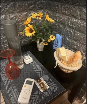 Vegan Inn Airport - Adults Only - LATE CHECK IN, Fiumicino, Italy
