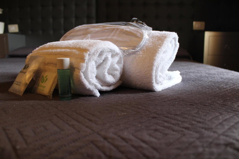 Hotel Ares Milano, Milan, Italy