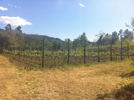 Sostio a Levante, Framura, Italy