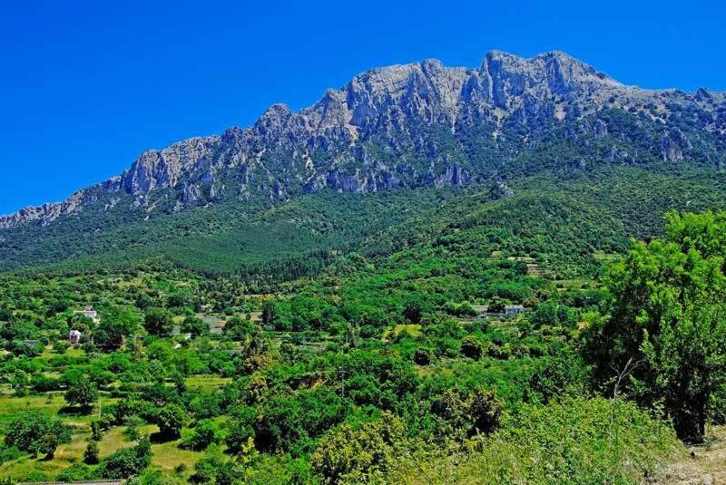 S'Enis Monte Maccione, Oliena, Italy