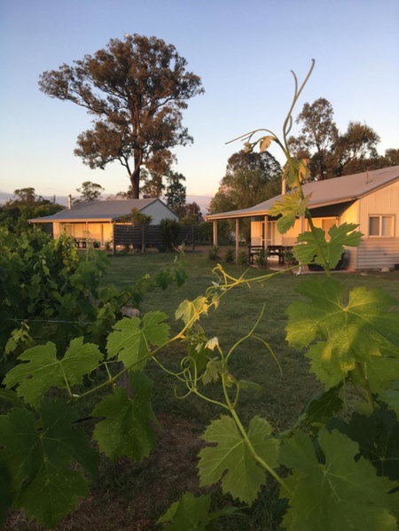 Emma's Cottage Vineyard, Lovedale, Australia