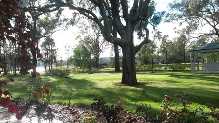 Emma's Cottage Vineyard, Lovedale, Australia