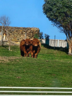 Ruby's Cottage Farm Stay, Port Arthur, Australia