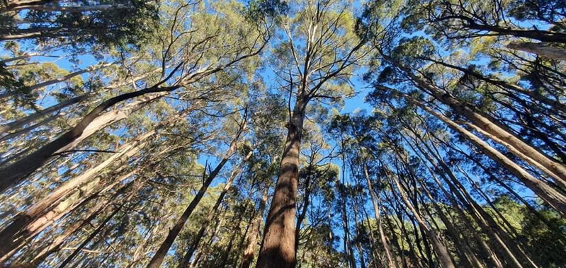 Ruby's Cottage Farm Stay, Port Arthur, Australia