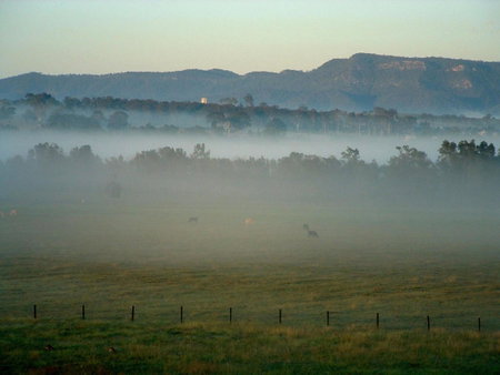 Adina Vineyard, Lovedale, Australia