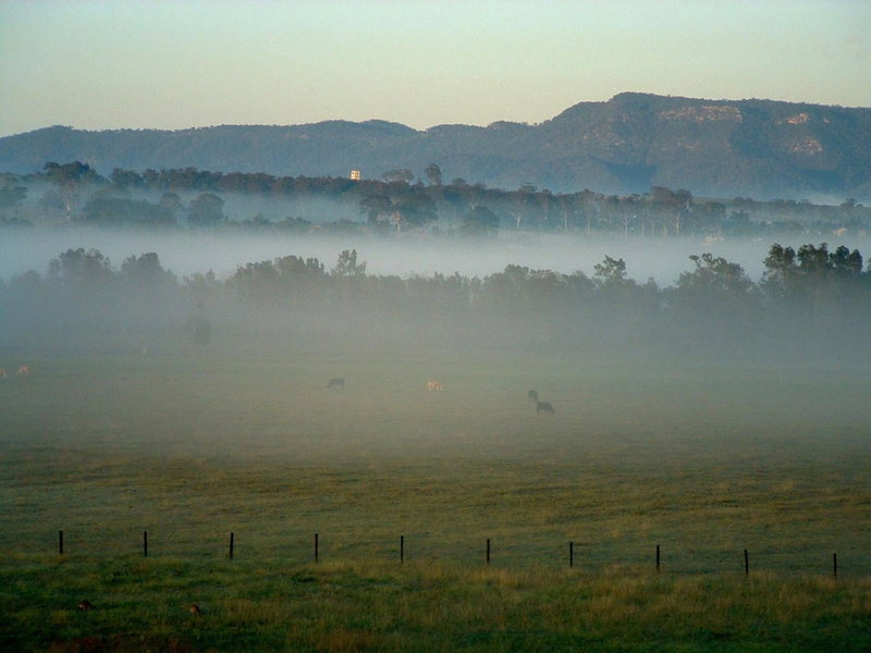Adina Vineyard, Lovedale, Australia
