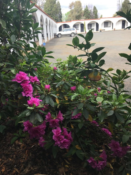 Azalea Motel - Under New Management, Coonabarabran, Australia
