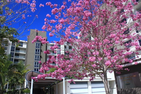 Signature Waterfront Apartments, Gold Coast, Australia