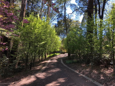 Lochiel Cottages - Dandenong Ranges Escape, Olinda, Australia