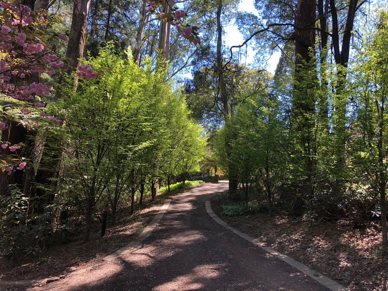 Lochiel Cottages - Dandenong Ranges Escape, Olinda, Australia