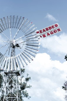 The Bearded Dragon Boutique Hotel, Mount Tamborine, Australia