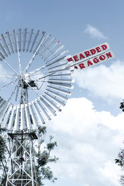 The Bearded Dragon Boutique Hotel, Mount Tamborine, Australia
