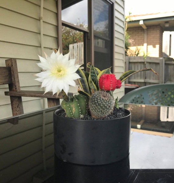 Port Campbell Guesthouse & Flash Packers, Port Campbell, Australia