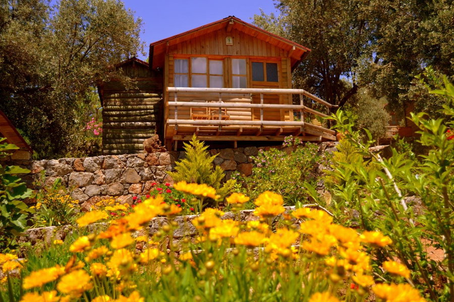 Olive Garden Kabak, Faralya, Turkey