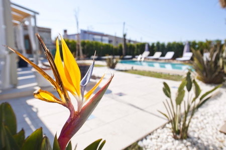 Sade Alacati Hotel, Alacati, Turkey