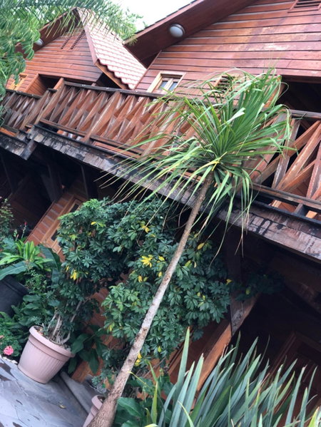 Cabañas La Finca, Atlixco, Mexico