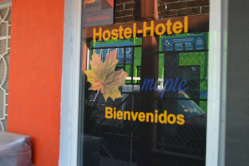 Hostal Maple, Querétaro, Mexico