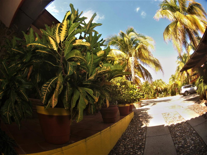 Quinta Comala Hotel & Villas, Comala, Mexico