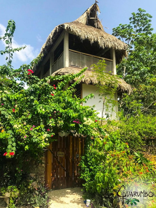 Guarumbo, Bacalar, Mexico