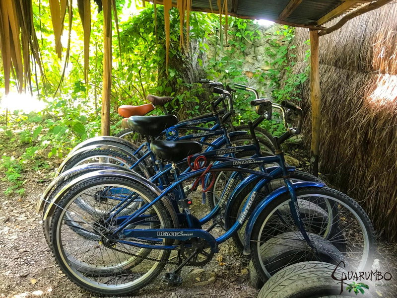 Guarumbo, Bacalar, Mexico