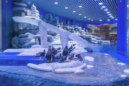 Haichang Penguin Wassim Hotel, Shanghai, China