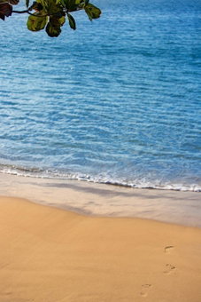 Hotel Jurerê Beach Village - OFICIAL, Florianópolis, Brazil