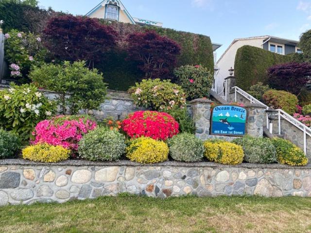 Ocean Breeze Executive Bed and Breakfast, Canada