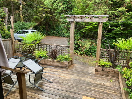 Sienna's Tree House (Tall Trees And Salty Breeze), Tofino, Canada