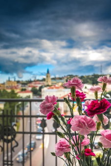 Panorama Przemyśl, Przemyśl, Poland
