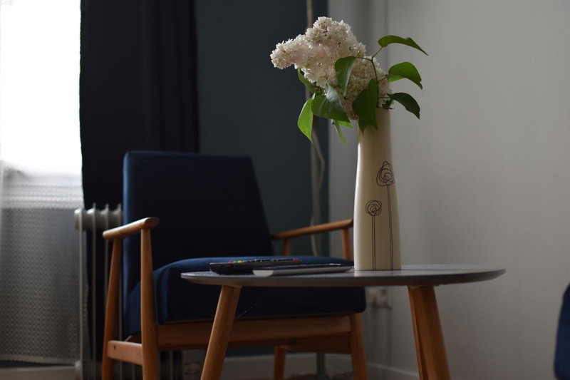 Atelier Foto Lipowa - Apartamenty, Nałęczów, Poland