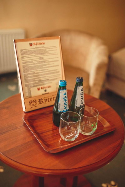 Hotel Rycerski, Czeladź, Poland