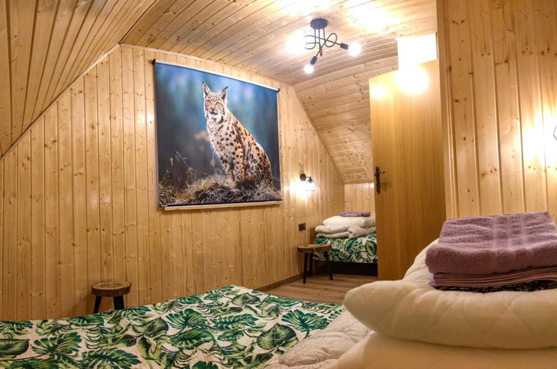 Domki - Noclegi Pod Ostrym Działem, Ustrzyki Dolne, Poland