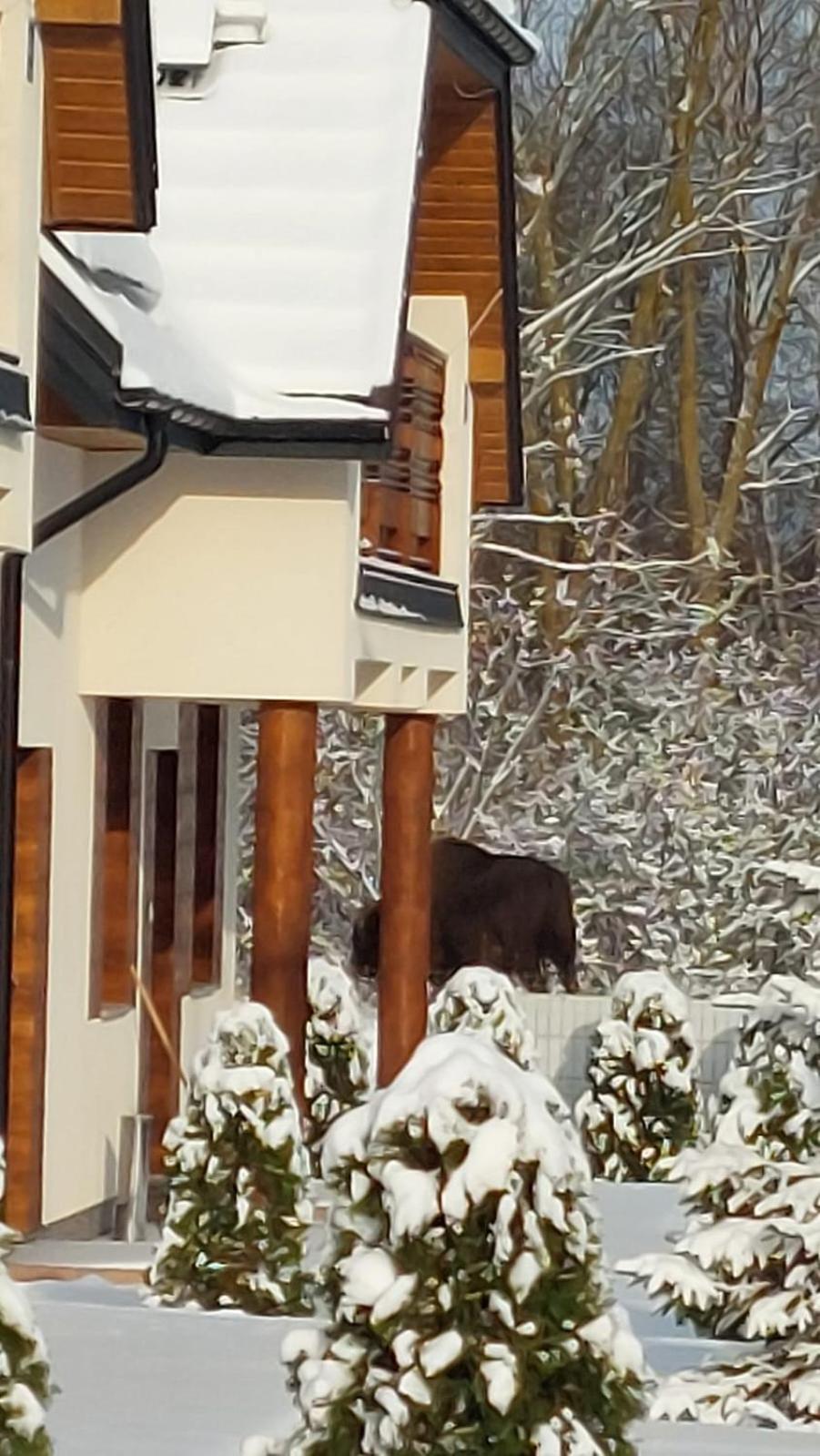 Apartamenty Pod Magnolią, Poland