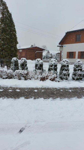 Apartamenty Pod Magnolią, Białowieża, Poland