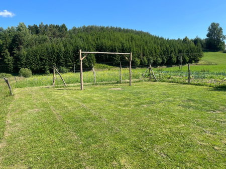 Agroturystyka Radzewicz, Wiżajny, Poland