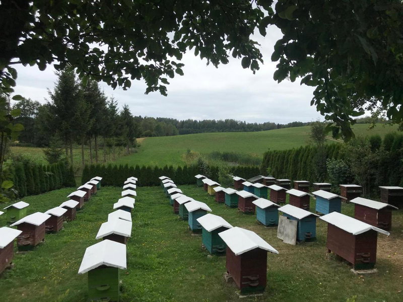 Agroturystyka Radzewicz, Wiżajny, Poland