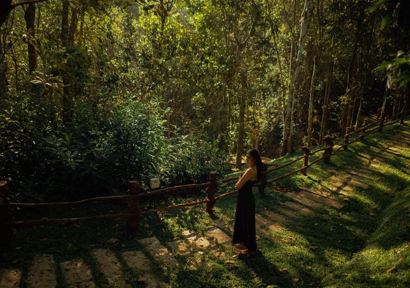 Chembarathi Wayanad Boutique Resort, Vaduvanchal, India
