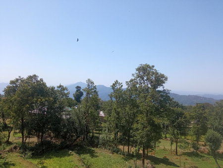 Travelodge Homestay, Bīr, India