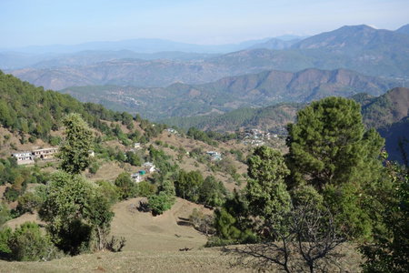 Himalaya View, Rānīkhet, India