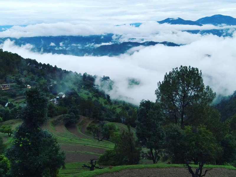 Himalaya View, Rānīkhet, India