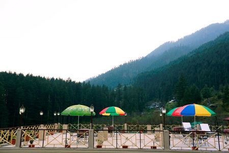 Snow Valley Resorts & Spa Manali, Manāli, India