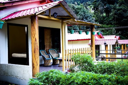 The Jungle Pool By Beyond Stay, Nainital, India