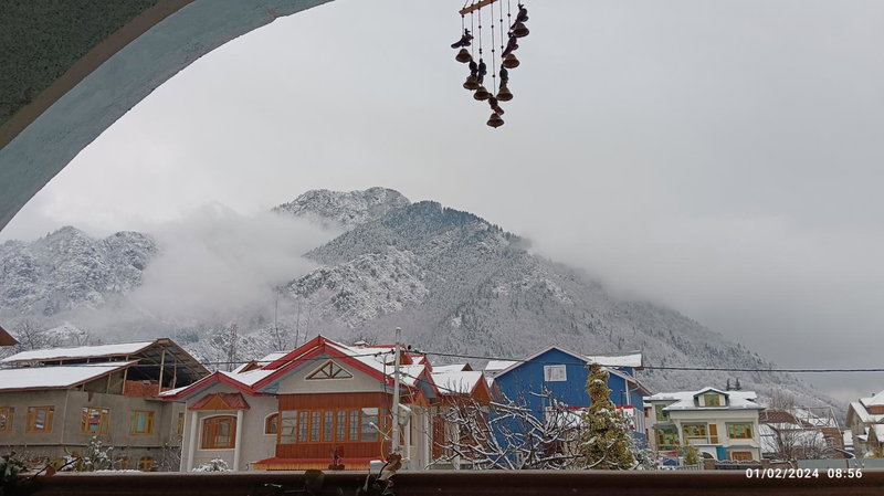 De brook, Srinagar, India