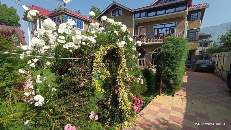 De brook, Srinagar, India