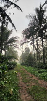 Mazra Retreat, Coorg Kushālnagar, Kushālnagar, India