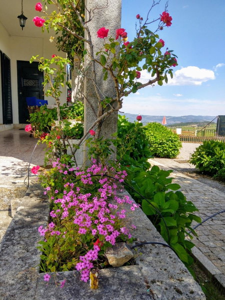 Quinta do Sol, Alijó, Portugal