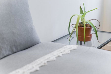 GuestReady - Uptown suites, Porto, Portugal